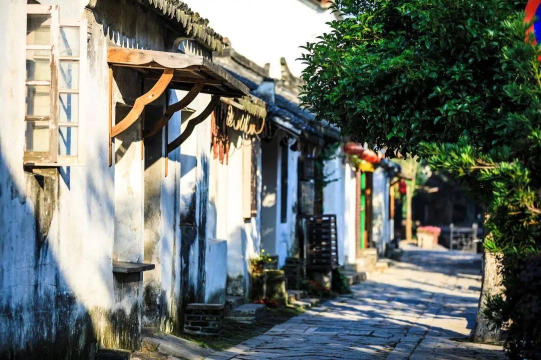 我的爷爷是科学家的英文